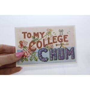 To My College Chum, Rare Postcard, Unused, Color Picture, Floral, Craft, Hobby,
